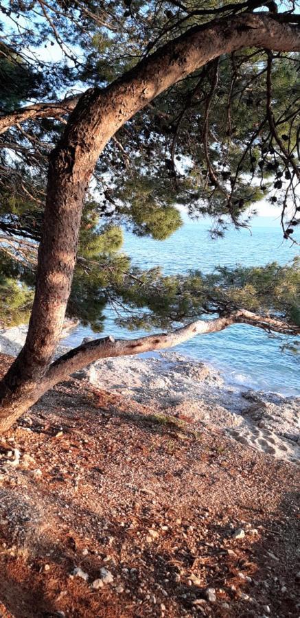 Apartment Rita Makarska Exteriör bild